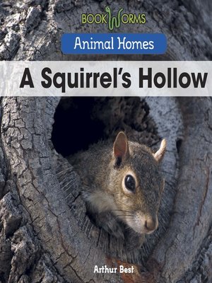cover image of A Squirrel's Hollow